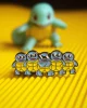 pin squirtle squad