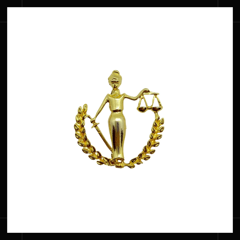 Pin Justicia Ley